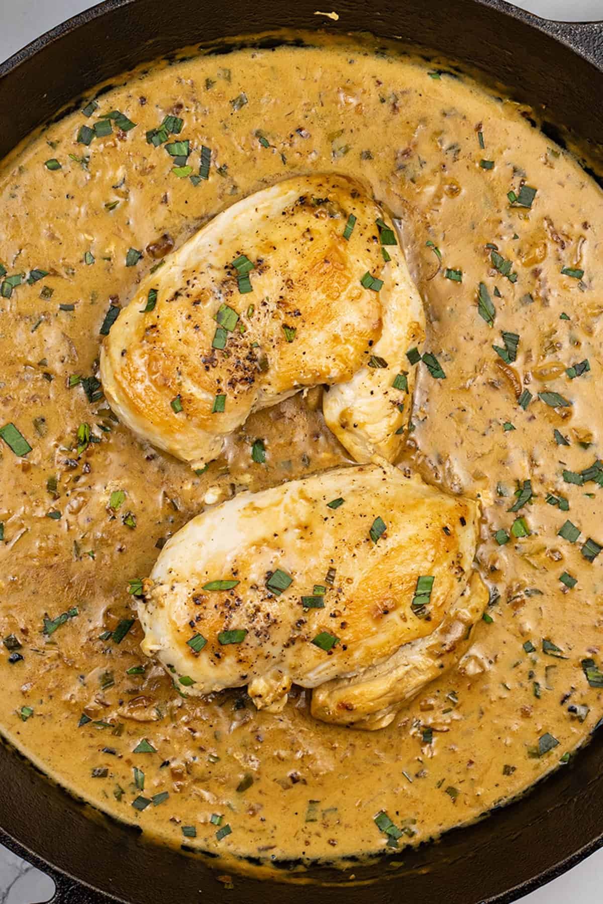 Creamy tarragon chicken in a skillet.