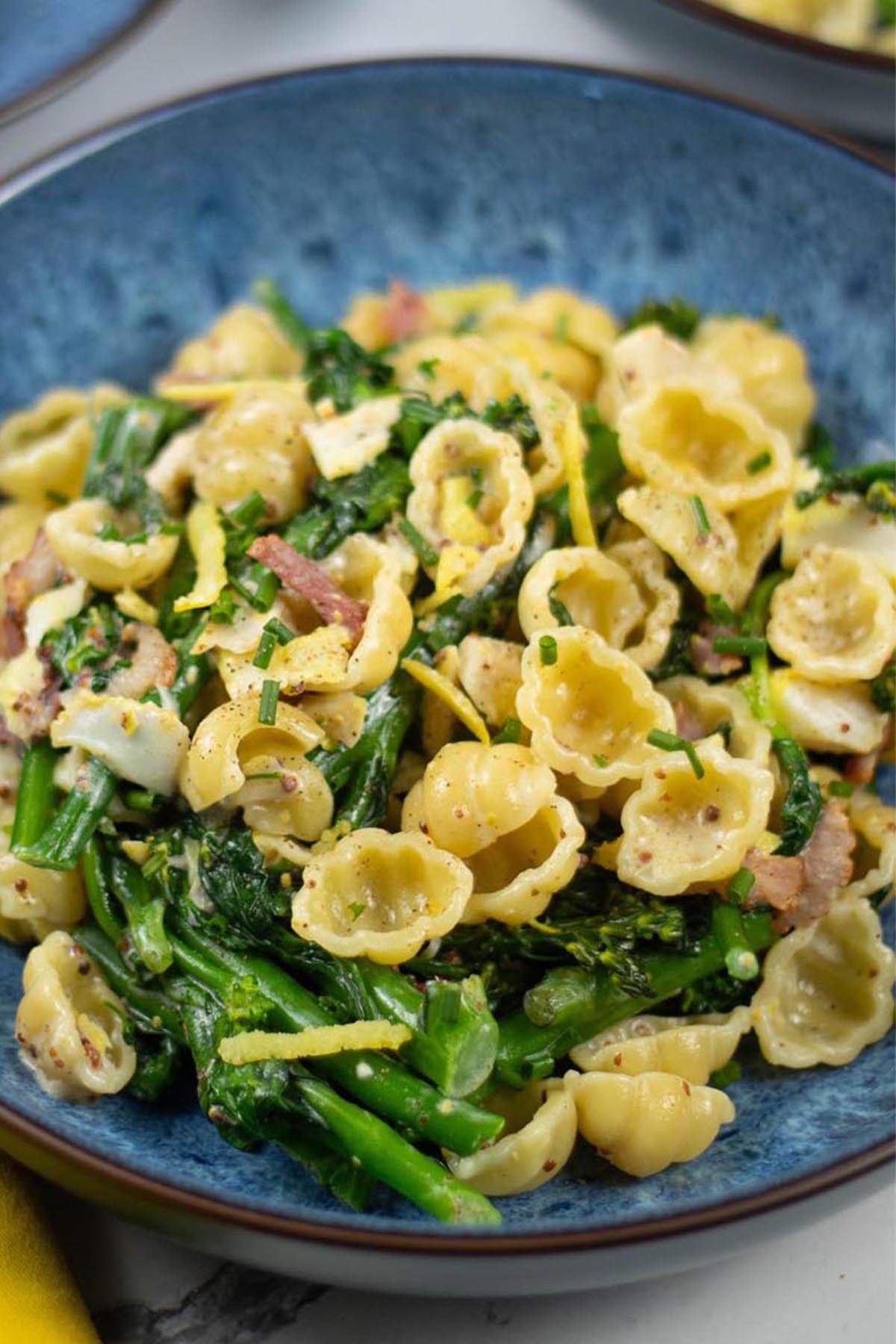 Close up of a portion of smoked haddock with tenderstem broccoli, spinach and conchiglie in a blue patterned bowl.