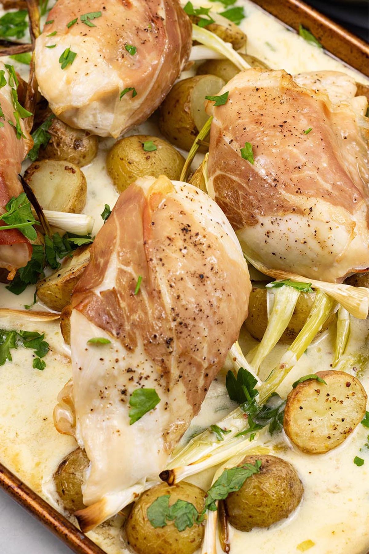 Close up photo of four portions of parma ham, chicken and creamy potato traybake on a large baking tray.