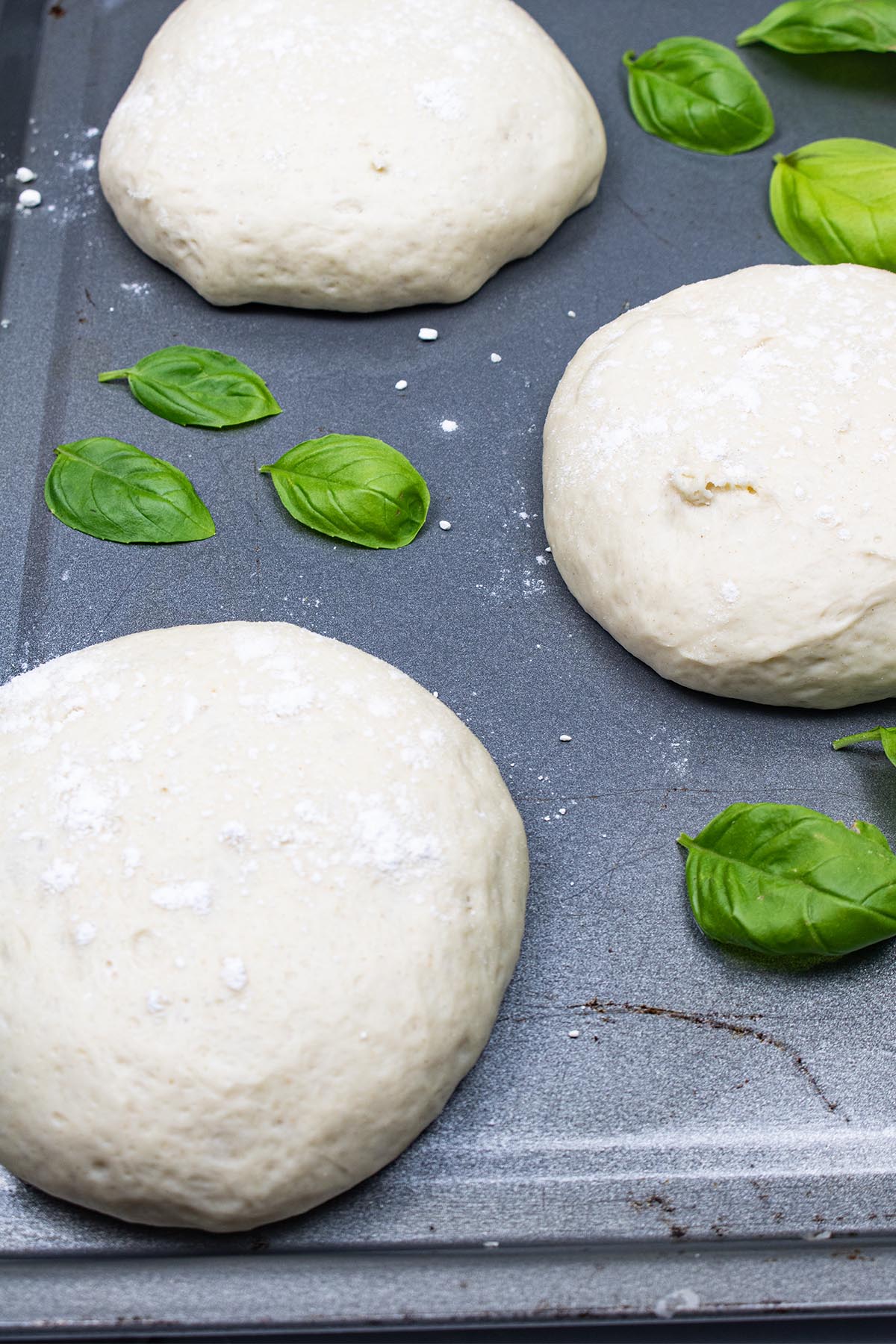 Close up of 3 balls of pizza dough on baking tray scattered with basil leaves